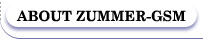 about Zummer-gsm